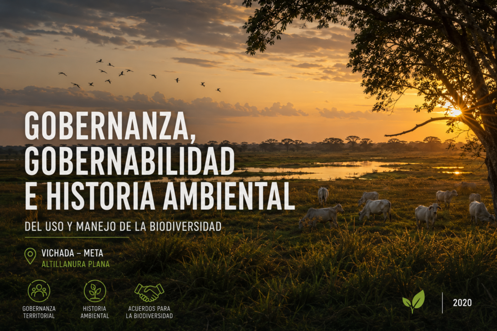Análisis de gobernanza, gobernabilidad y un estudio de historia ambiental del uso y manejo de la biodiversidad (VIchada)