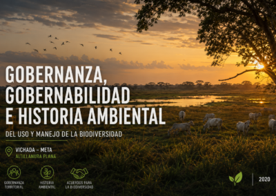 Análisis de gobernanza, gobernabilidad y un estudio de historia ambiental del uso y manejo de la biodiversidad (VIchada)