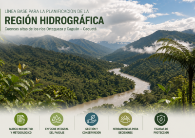 Mapa de cobertura de la tierra de áreas en la amazonía colombiana 