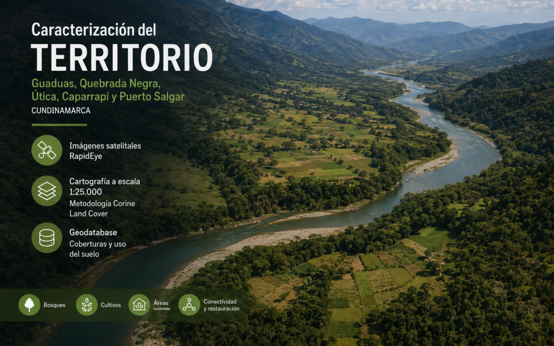 Mapa de ecosistemas potenciales e la amazonía colombiana (2013)
