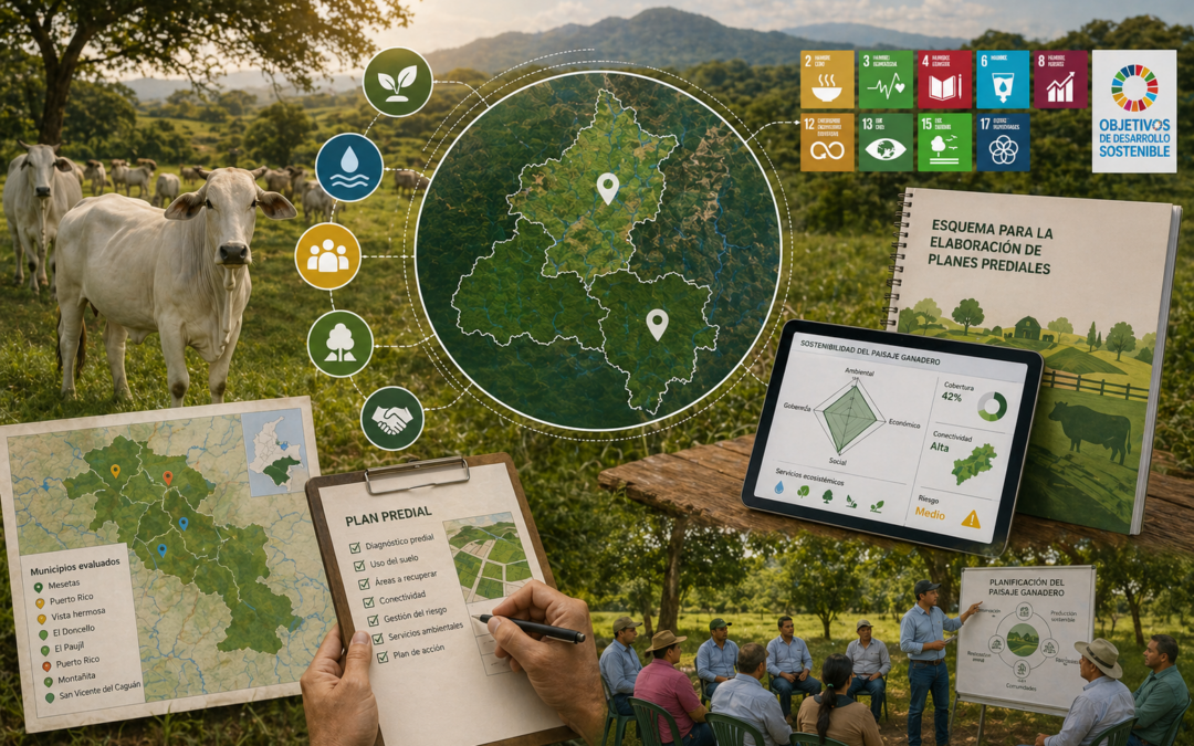 Análisis de Sostenibilidad y Fortalecimiento de la Planificación Predial en Paisajes Ganaderos del Proyecto ProRural (Meta y Caquetá)