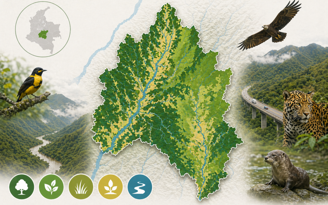 Análisis de Vulnerabilidad y Biodiversidad en Villeta-Guaduas