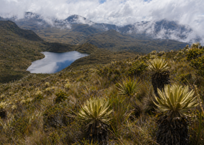 Cálculo y Análisis de la Exactitud Temática de Mapas de Superficie de Bosque Natural y Deforestación (2020-2022)