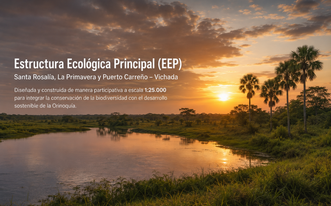 Estructura Ecológica Principal (EEP) en Vichada
