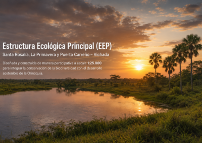 Estructura Ecológica Principal (EEP) en Vichada