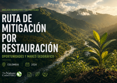 Análisis Normativo y de Políticas para la Ruta de Mitigación por Restauración: Oportunidades y Marco Geográfico