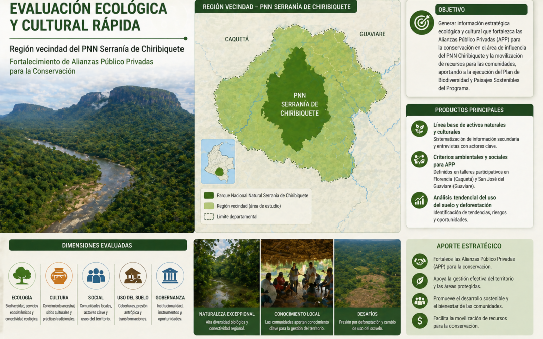 Evaluación Ex-Post de Impacto de la Estrategia de Incentivos a la Conservación del Bosque en Pie (IFA, ITPS e IFV) del Programa REM COLOMBIA II Visión Amazonía