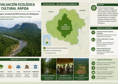 Evaluación Ex-Post de Impacto de la Estrategia de Incentivos a la Conservación del Bosque en Pie (IFA, ITPS e IFV) del Programa REM COLOMBIA II Visión Amazonía
