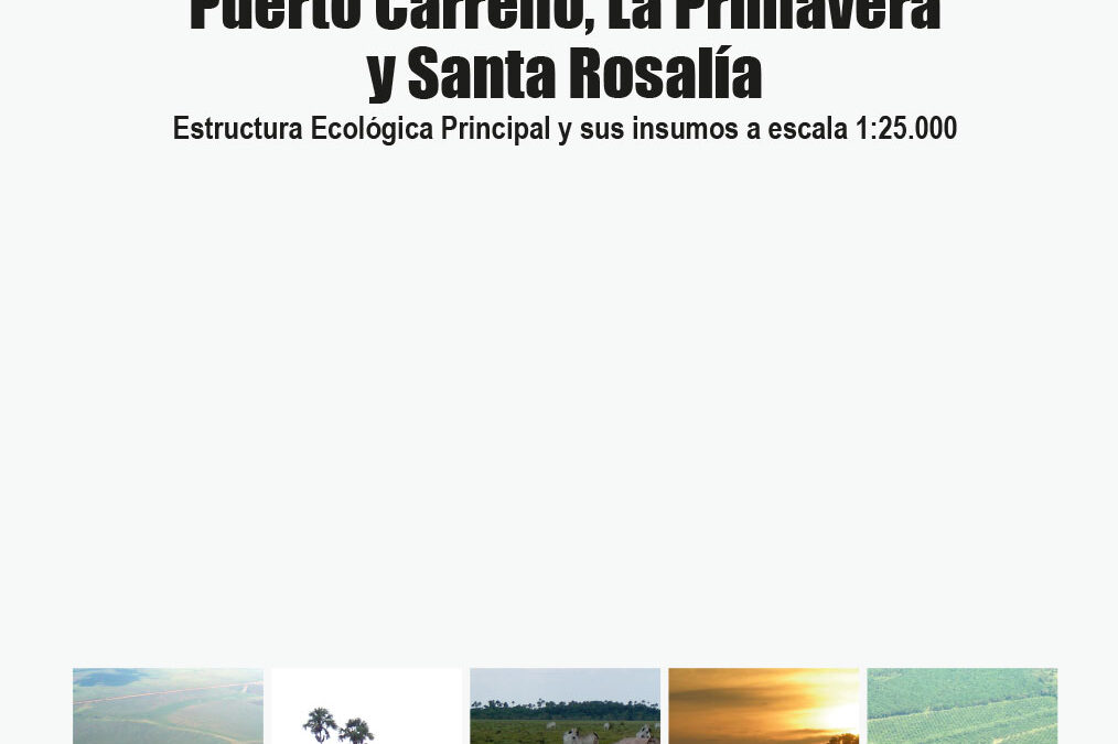 Puerto Carreño, La Primavera y Santa Rosalía: Estructura Ecológica Principal y sus insumos a escala 1:25.000