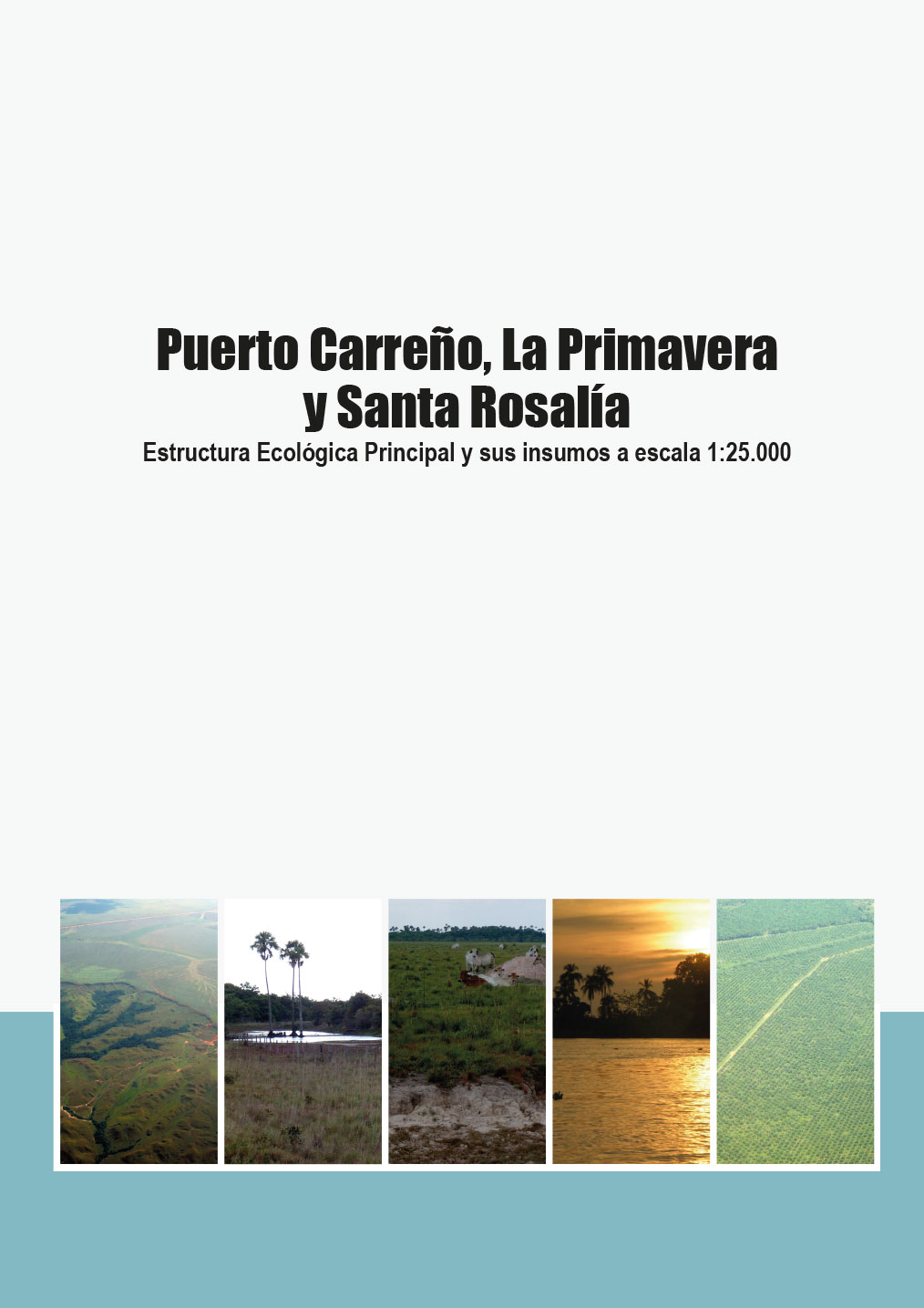 Puerto Carreño, La Primavera y Santa Rosalía: Estructura Ecológica Principal y sus insumos a escala 1:25.000