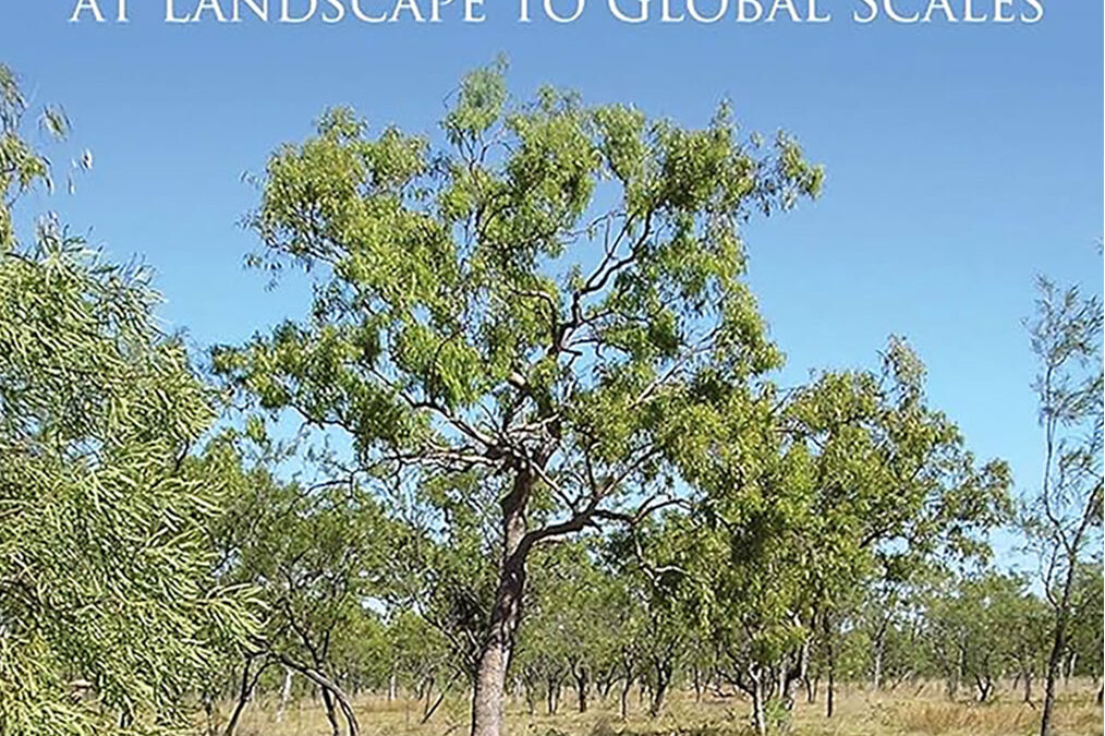 Land Use Changes (1970–2020) and the Carbon Emissions in the Colombian Llanos