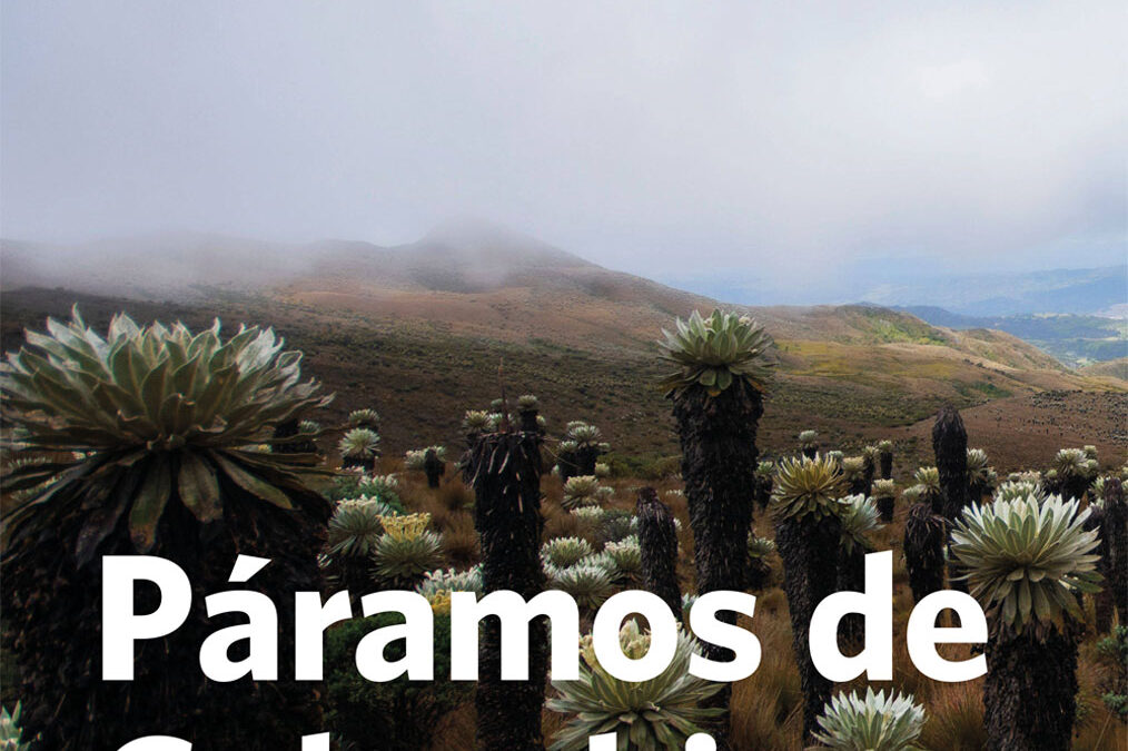 Paramos de colombia