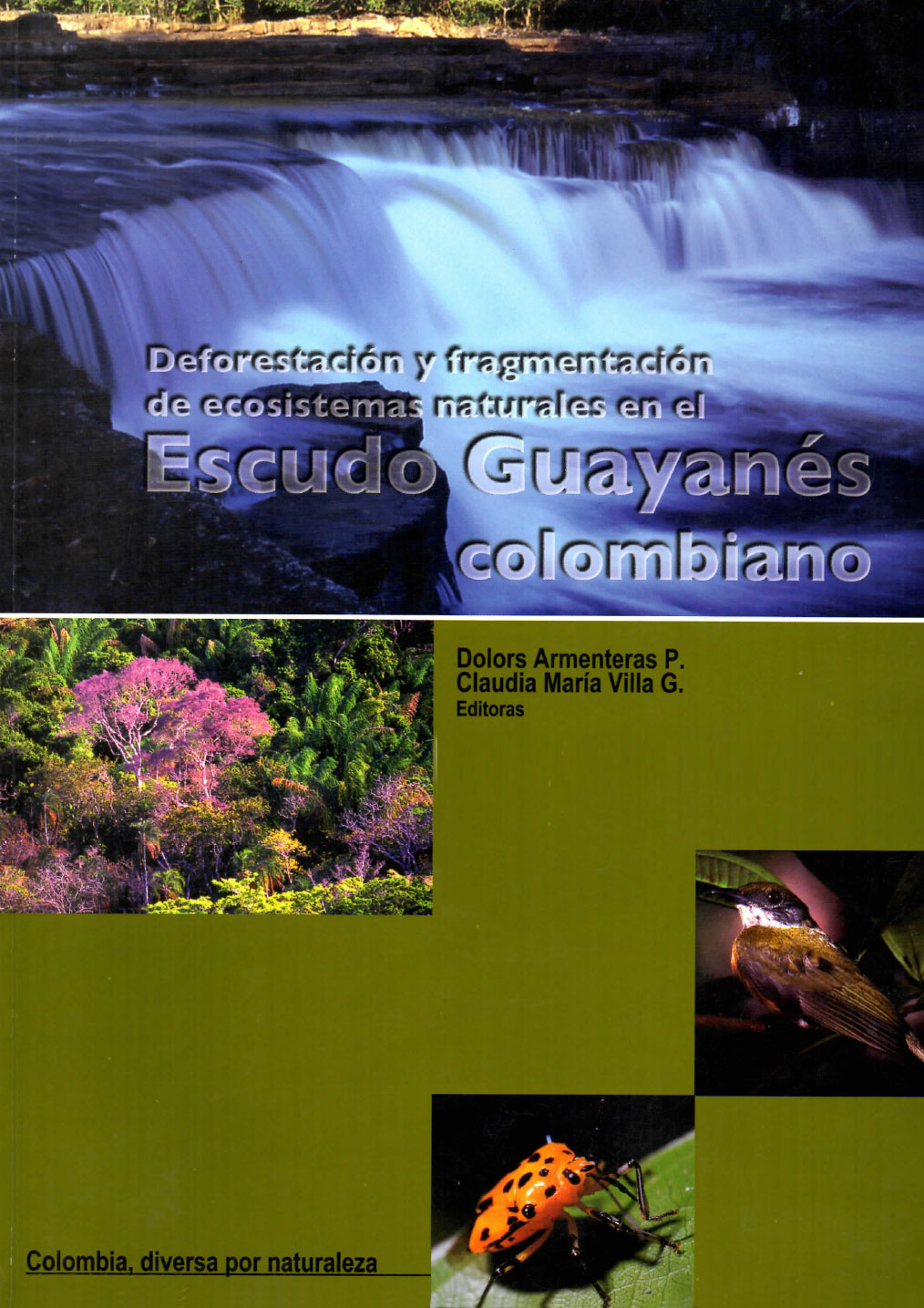 Deforestación y fragmentación de ecosistemas naturales en el escudo guayanes colombiano