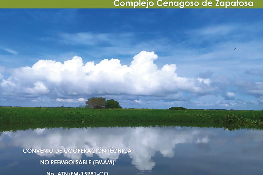 Plan de manejo drmi-ramsar zapatosa