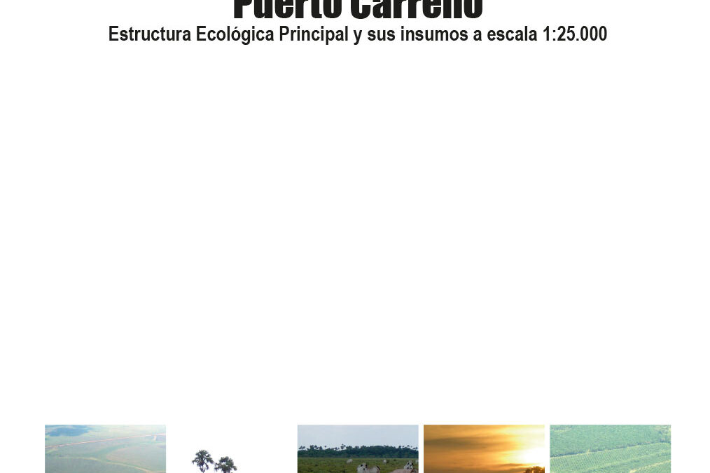 Puerto Carreño: Estructura ecologica principal