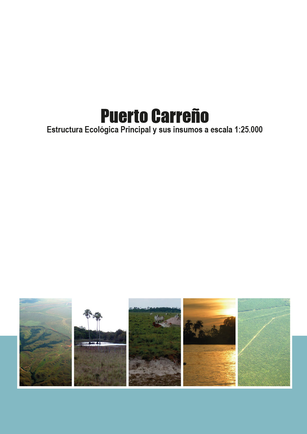 Puerto Carreño: Estructura ecologica principal